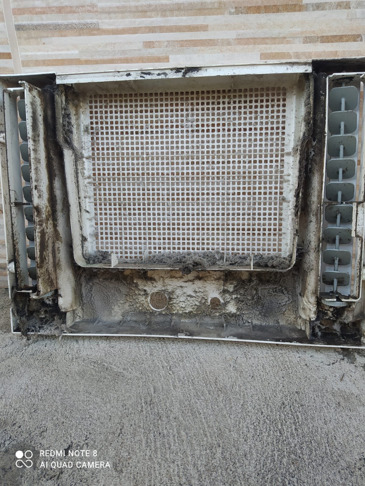 Vamos lá fazer uma limpeza?